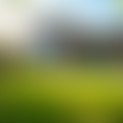 Top Houses Near Military Bases: Best Housing Options Near Fort Liberty