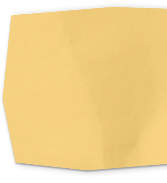 Vector 1300.png