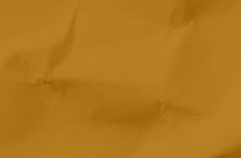 Vector 1304.png