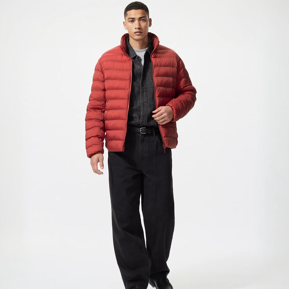 UniQlo Pufftech Jacket 479755