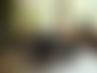 Discover Fuji Fuji Japan Shop: Your Gateway to Authentic Japanese Treasures