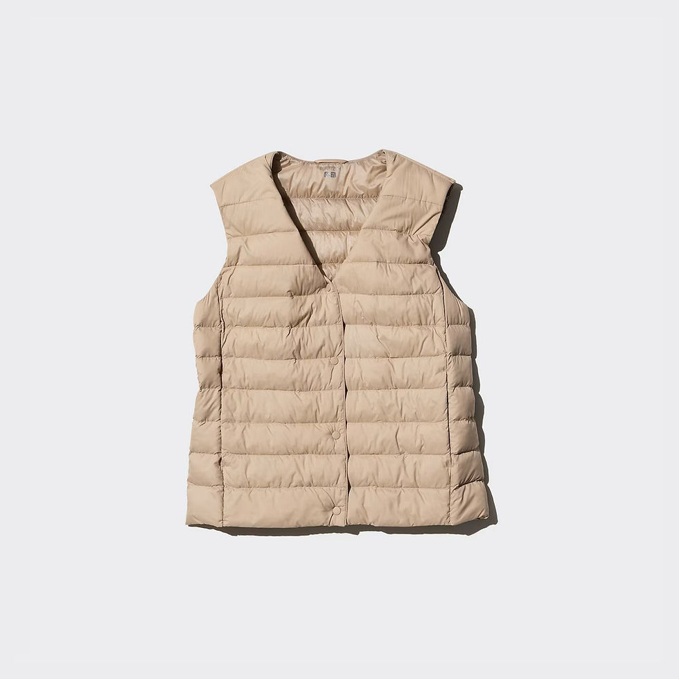 Uniqlo Pufftec Compact Vest 478569