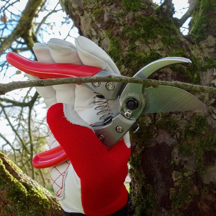 ARS Pruning Shears VS-8Z (VS-8 Series)