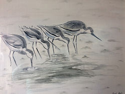 image7.jpeg