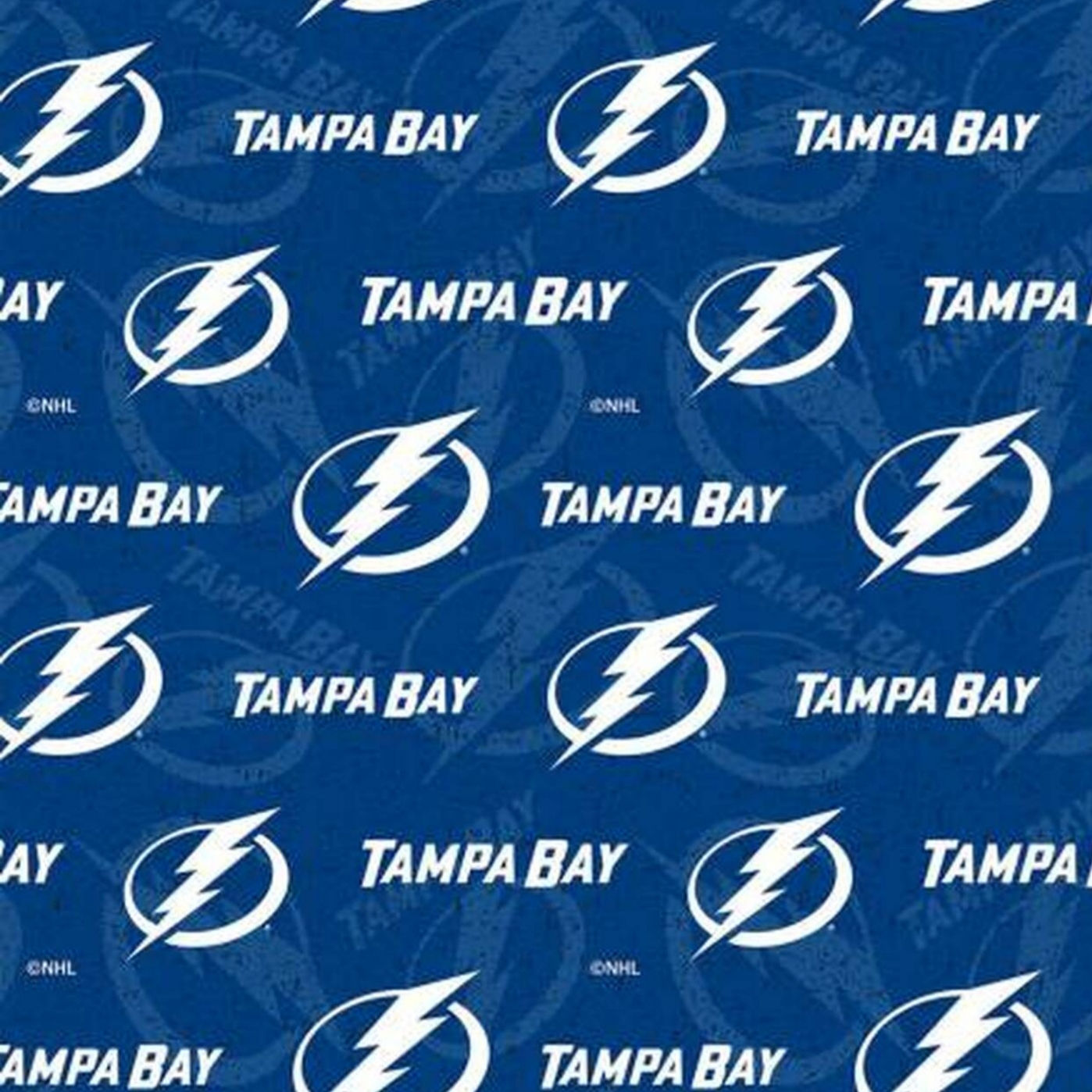 D 69 - Tampa Bay Lightning