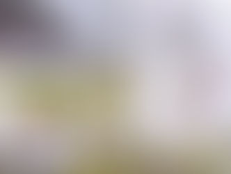 コンサート情報を更新しました！