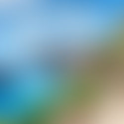 Local Secrets: Discovering Authentic Mallorca