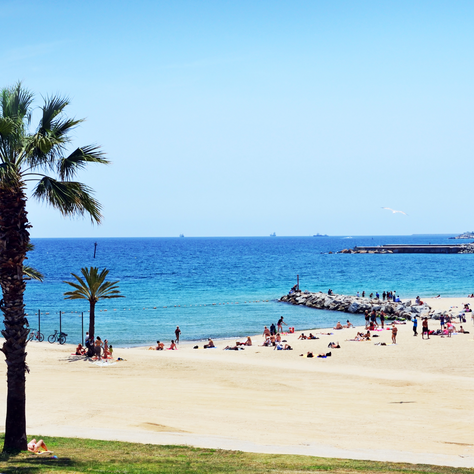 Ein Leitfaden zum Leben auf Mallorca: Was Sie Wissen Müssen