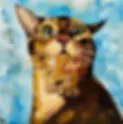 Maine Coon Cat original oil painting .webp