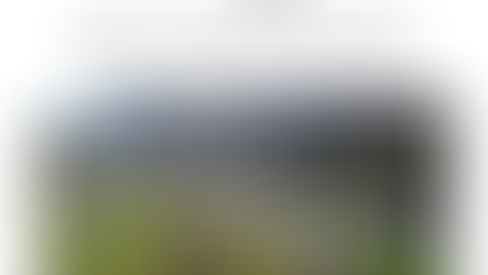 Esposizione nazionale dei segugi svizzeri