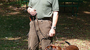 Intervista a Fulvio Ponti