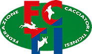 LOGO-FCTI.png