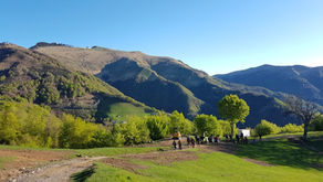 
Cura habitat della fauna selvatica: interventi delle Società nel 2020