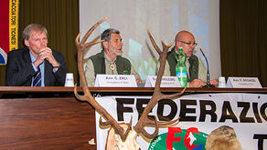 Assemblea dei Delegati FCTI 2014 ai Ronchini
