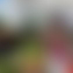 Farmers Market Grand Opening!