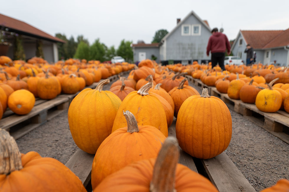 Why Quantum Go is the perfect companion for Halloween retail