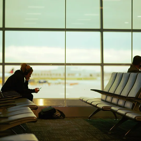 Airport Critter Control