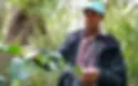 Thumbnail: Madagascar Ampary
