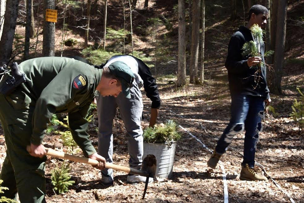 Working together for a cause.