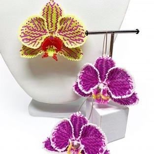 Phaelanopsis.jpeg