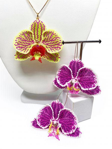 Phaelanopsis.jpeg