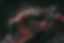 499947956_10239330534621684_3947754767975401695_n.jpg