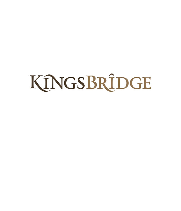 2026-09-15_aib_LogoPg_Logo Mockups_V1_1.jpg