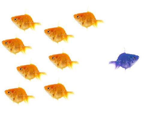6 Proven Coaching Tools to Get Unstuck and Regain Clarity