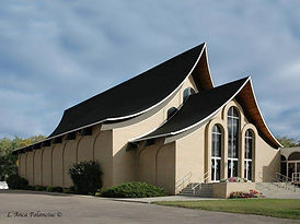 Roofing Shingles Roofer