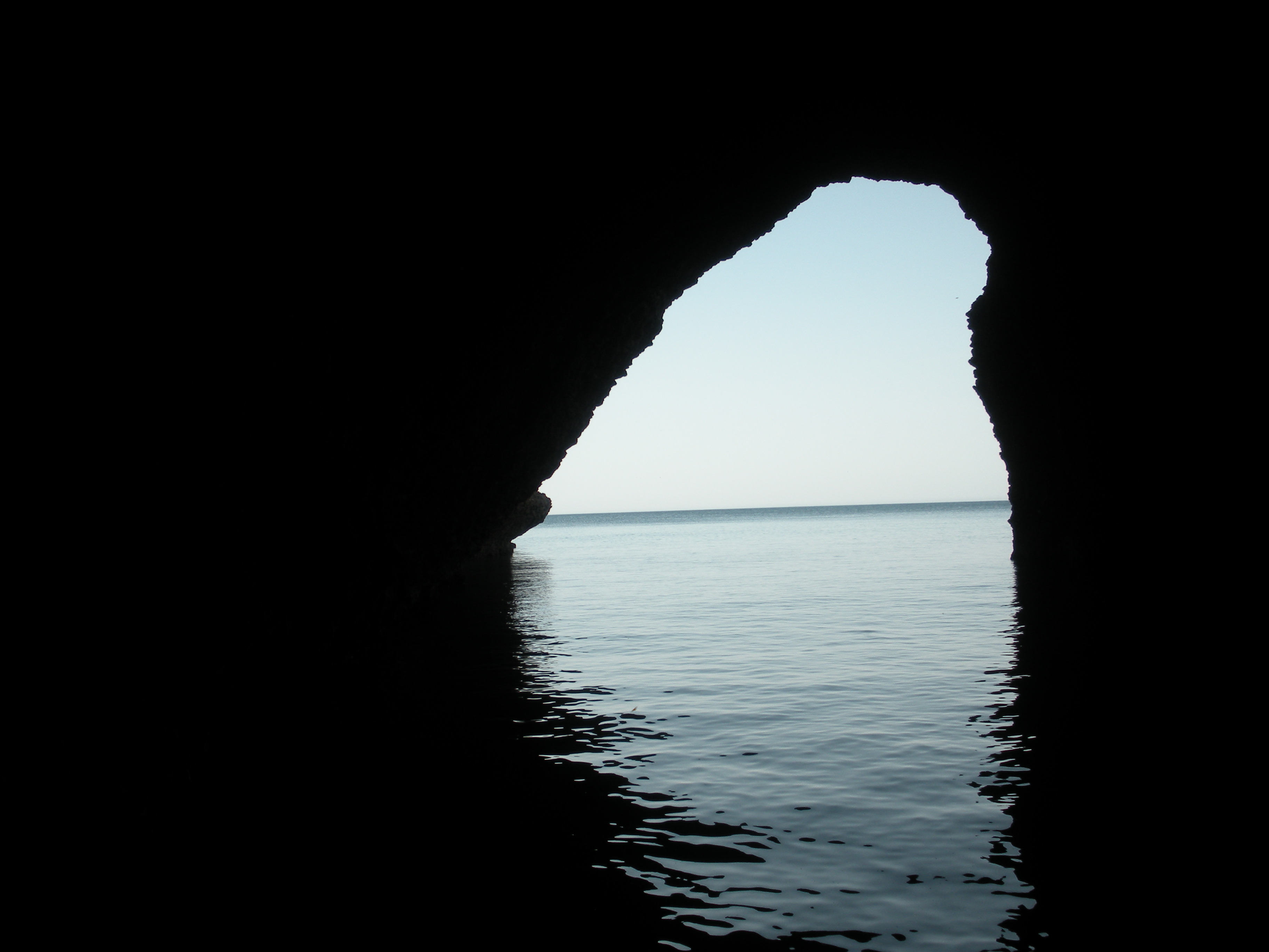 DSCN0614