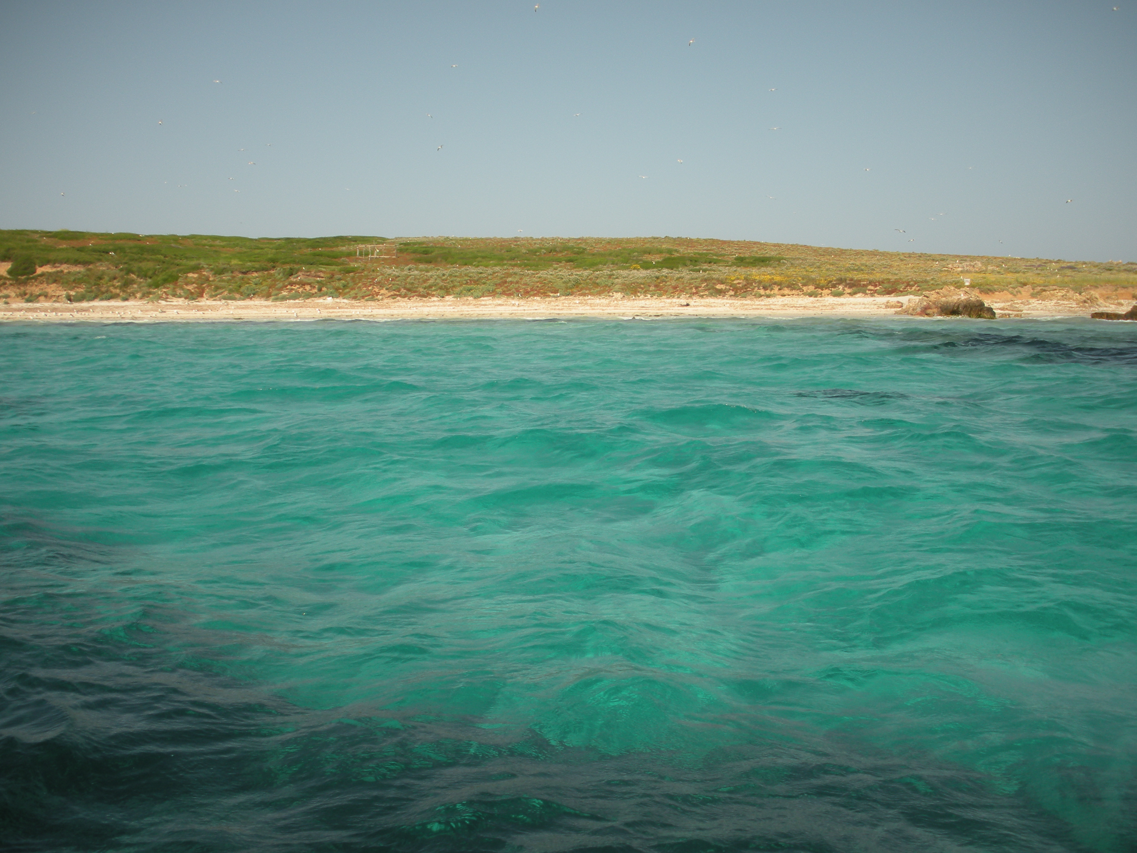 DSCN0644