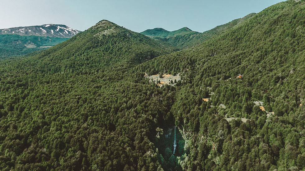 Picture 3. Palguín_.jpg