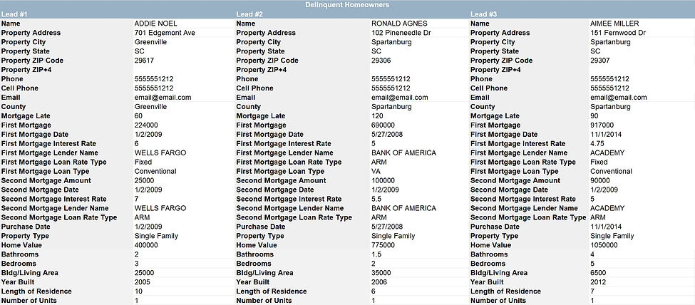 delinquent_homeowner_lead_preview.jpg