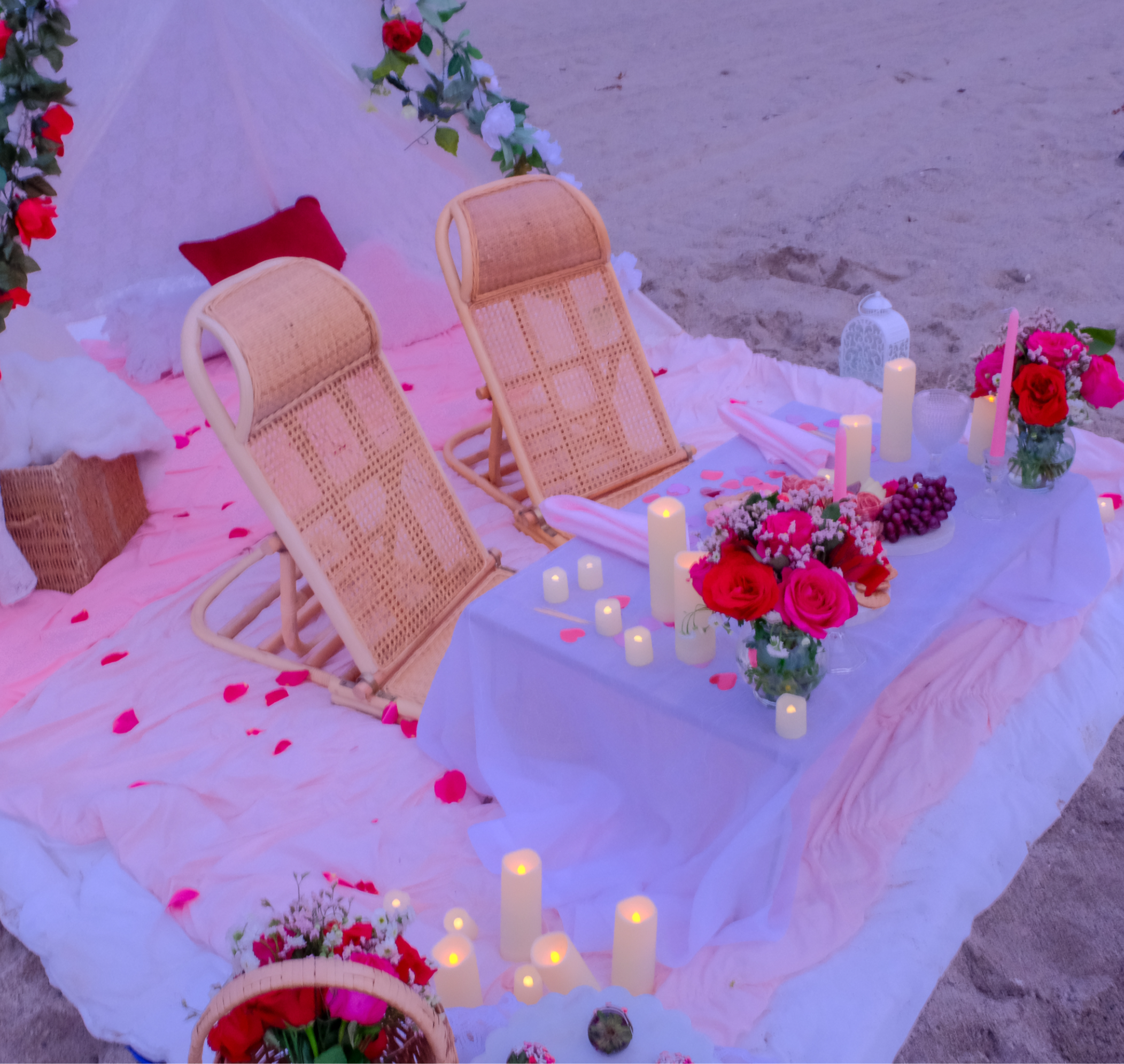 Back-Supporting Reclining Rattan Chair Alternative (2x)