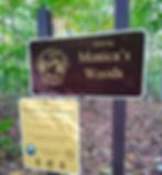 Trailhead sign Monicas Woods_edited