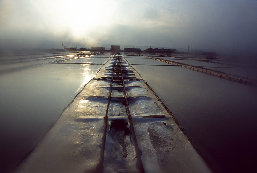 Le saline di Sicciole