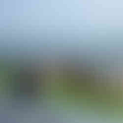 The Dearly Koh Tao Hostel: Beach Crawl 2017