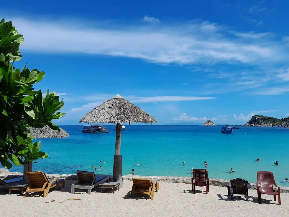 Free Daily Beach Shuttle