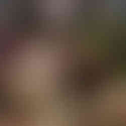 New Year Party | The Dearly Koh Tao Hostel