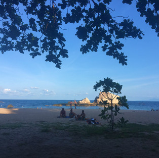 March Beach Crawl | The Dearly Koh Tao Hostel