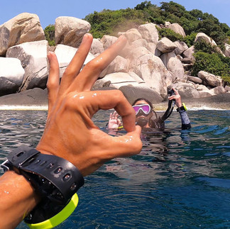 The Dearly Dive: A PADI Dive Center