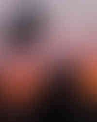 Free Daily Beach Shuttle