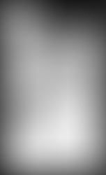 レイフレ13参加します