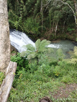 IMG_20231015_142503899