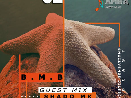 #RhythmicMix – the majestic sensations 033 (dilution 2)