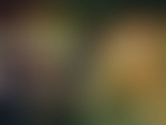 #Doccie - Offline is the new luxury