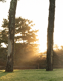 Screen Shot 2024-11-01 at 12.58.16 PM.png