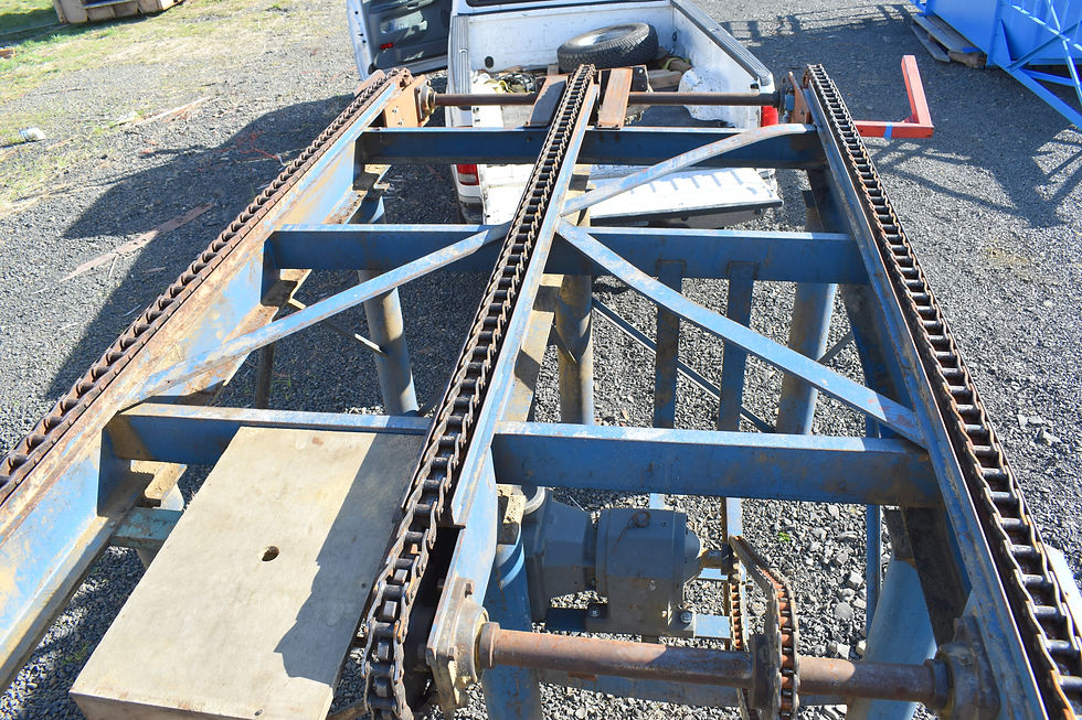 Thumbnail: 3 strand 78 chain infeed transfer, 16 ft