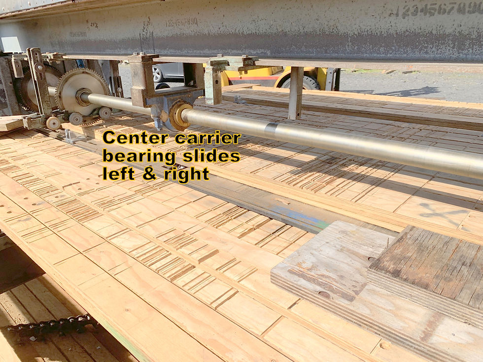 Thumbnail: America Globe 10 foot gang panel slatbed trim saw
