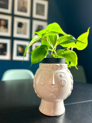 Face Planter.JPG